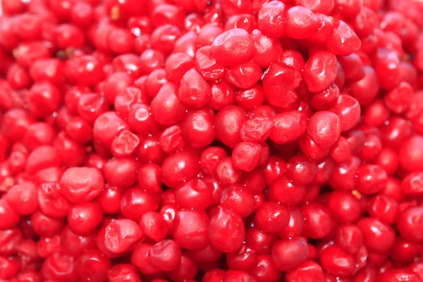 Berries of red schizandra — Stock Photo, Image