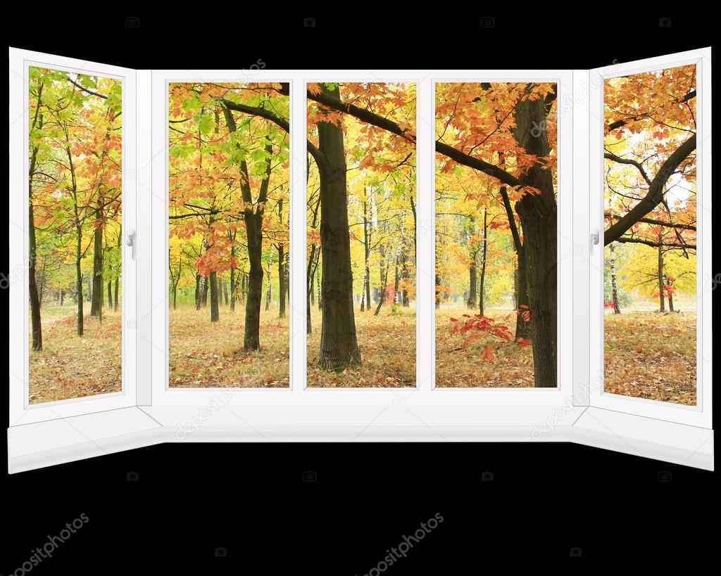 window overlooking the autumn park