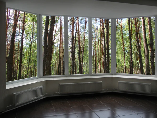 Janelas de plástico com vista para o bosque — Fotografia de Stock