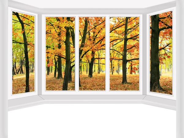 Window overlooking the autumn park isolated — Stock Photo, Image