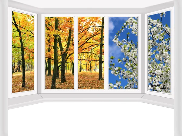 秋の公園、春の木を見下ろす窓 — ストック写真