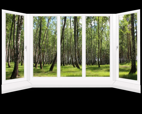 Okna s výhledem na hájku na jaře, samostatný — Stock fotografie