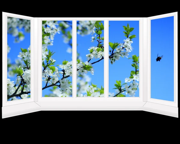 Okno s výhledem do zahrady s rozkvetlým stromem — Stock fotografie