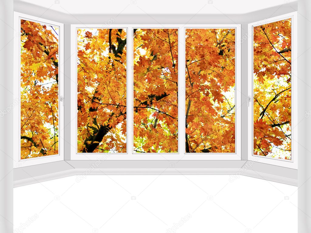window overlooking the autumn park with yellow trees 