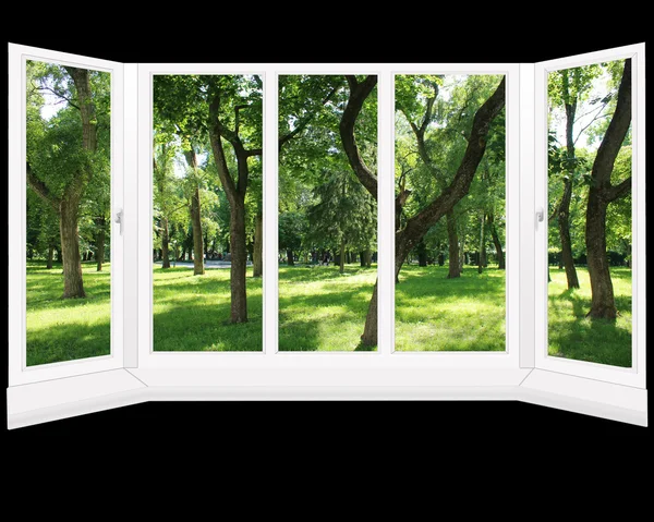 Окна с видом на летний парк изолированы — стоковое фото