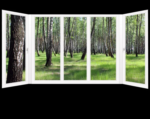 Finestre con vista sul boschetto in primavera isolato — Foto Stock
