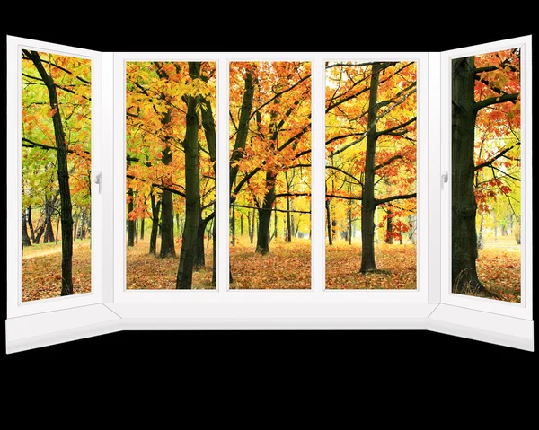 Okno z widokiem na jesień parku porośniętym żółty — Zdjęcie stockowe