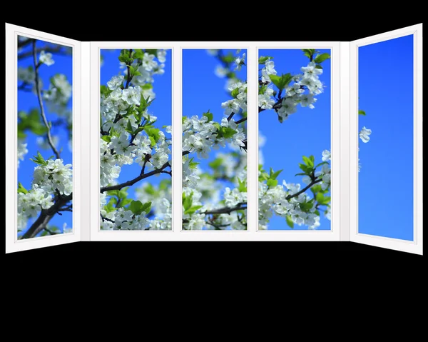 Ventana con vistas al jardín con el árbol en flor — Foto de Stock