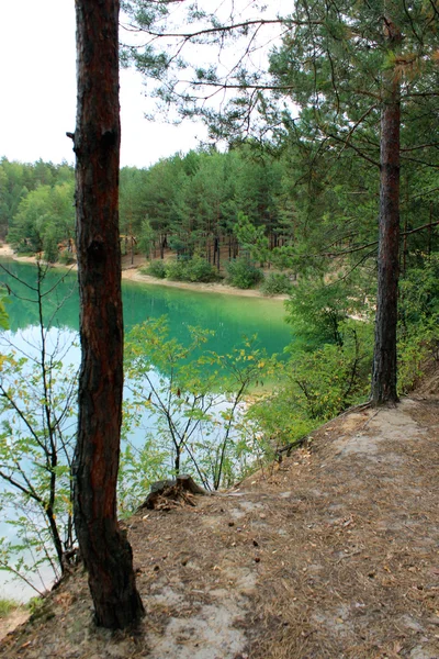 Beautiful lake in the forest — Stock Photo, Image