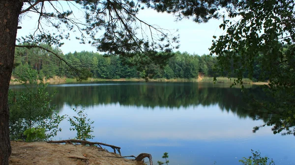 森林中的湖泊 — 图库照片