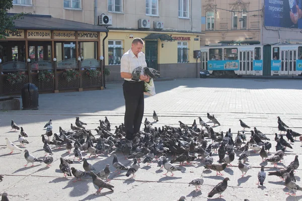 Mann füttert Tauben auf der Stadtstraße in Lwiw — Stockfoto