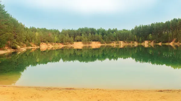 Danau di hutan — Stok Foto