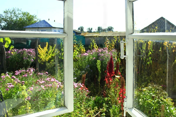 Открытое окно в летний сад в деревне — стоковое фото