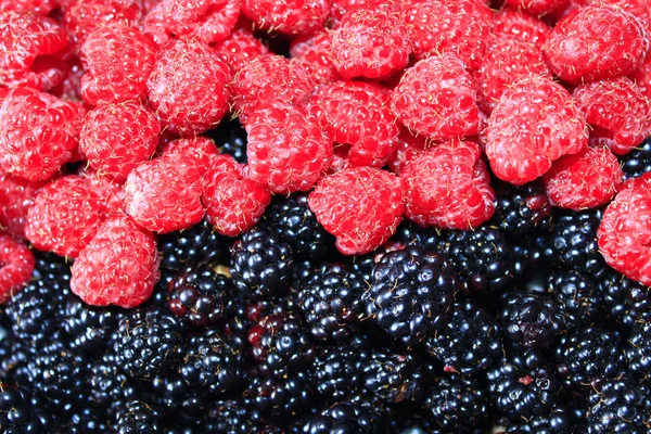 Blackberry and raspberry — Stock Photo, Image