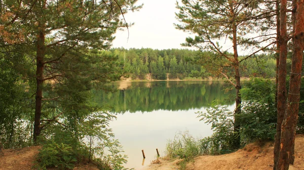 Hermoso lago en el bosque —  Fotos de Stock