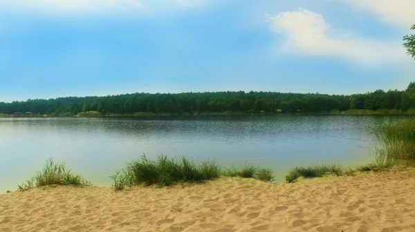 Hermoso lago en el bosque —  Fotos de Stock