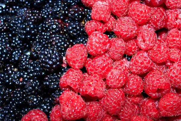 Berries of blackberry and raspberry — Stock Photo, Image