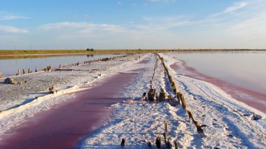 Sivash tuzlu deniz manzara