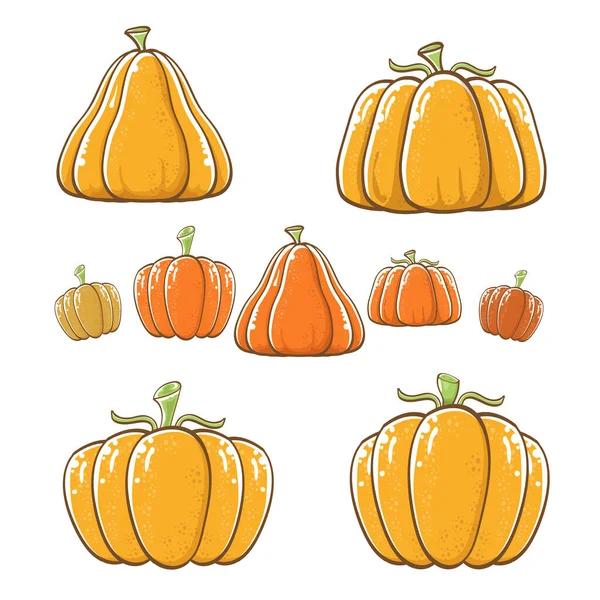 Vector graphic orange pumpkins set isolated on white background. Cartoon hand drawn pumpkins collection for autumn ,Halloween and Thanksgiving day poster and banner design — Stock Vector