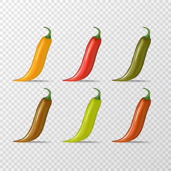 Vector rojo, verde, naranja chiles iconos conjunto aislado sobre fondo transparente. 3d realista vector color chiles etiquetas colección — Archivo Imágenes Vectoriales
