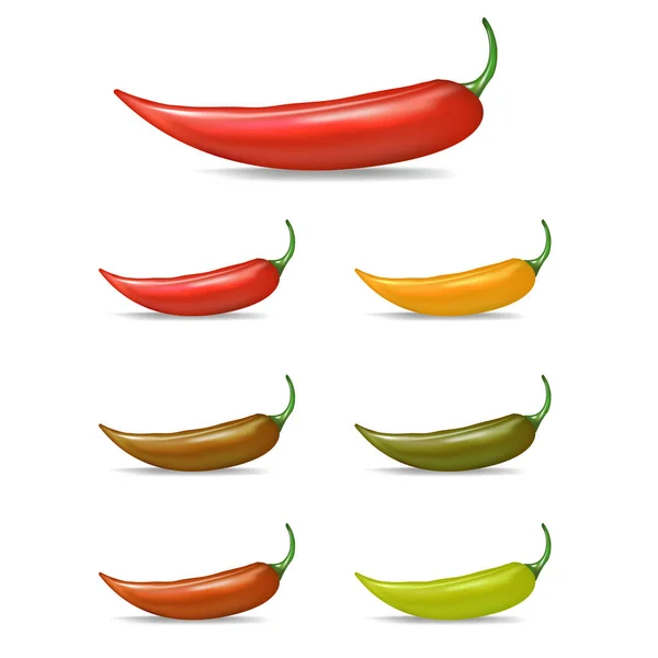 Vector rojo, verde, naranja chiles iconos conjunto aislado sobre fondo blanco. 3d realista vector color chiles etiquetas colección — Archivo Imágenes Vectoriales