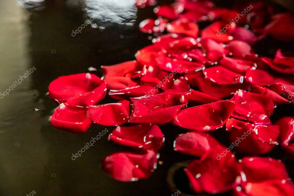 In rose jacuzzi petals 
