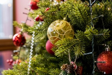 Noel ağacında takılar var. Sıcak ışık. Güzel renkli toplar ve Noel ağacında parlayan ışıklar. Dallara asılı Noel süslemeleri..