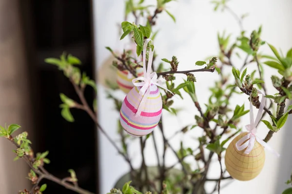 Uova di Pasqua appese a un ramo di fiore di primavera. Decorazioni pasquali. rami di betulla decorati con uova dipinte luminose. Cartolina. Focus.holiday accordo selettivo — Foto Stock