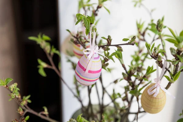 Easter eggs hanging on a spring blossom branch. Easter decorations. Birch tree branches decorated with bright painted eggs. Postcard. Selective focus.holiday arrangement Stock Photo