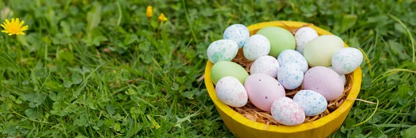 Easter holiday concept. Easter decor with bright painted eggs in grass. web banner. template for design.Easter composition with colorful eggs in basket on green grass, lawn.Copy space — Stock Photo, Image