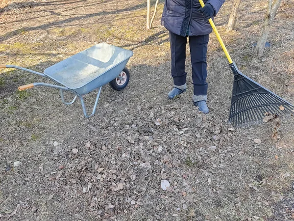 Osoba grabiąca spadające liście w ogrodzie.Dziewczyna trzymająca grabie i czyszcząca trawnik z suchych liści w sezonie wiosennym. praca w ogrodzie.Sprzątanie ogrodu. Dojrzewanie liści w narzędziach ogrodowych — Zdjęcie stockowe