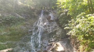 Yazın ormanda inanılmaz bir şelale. Güneşli bir günde dağlardaki ormanlarda akan hızlı şelalenin muhteşem manzarası. Ulusal parktaki küçük şelaleler