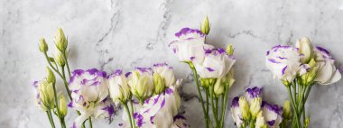 yeşil ve beyaz Eustoma çiçekleri. Beyaz ve mor lisianthus çiçekleri mermer arka planda. Özel bir arkaplan etkinliği. Boşluğu kopyala