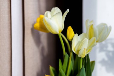 Beyaz arka plan üzerinde izole vazoda Beyaz Lale buketi