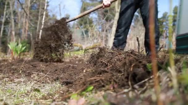 Kopání jarní půdy vidličkou. Zblízka kopání jarní půdy lopatou, která ji připravuje na nové období setí.Tvrdá práce v zahradě — Stock video