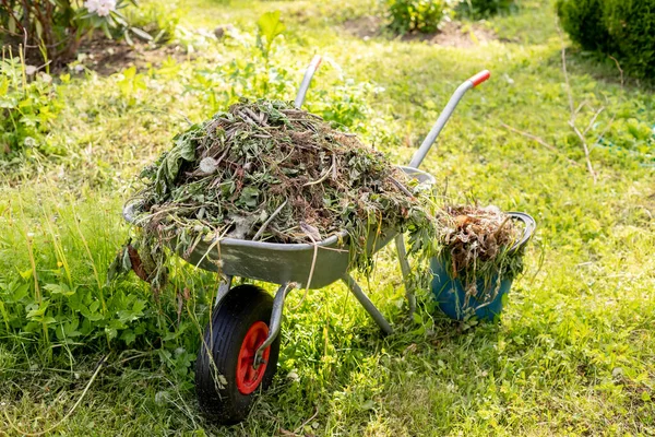 Schubkarre Gemüsegarten — Stockfoto