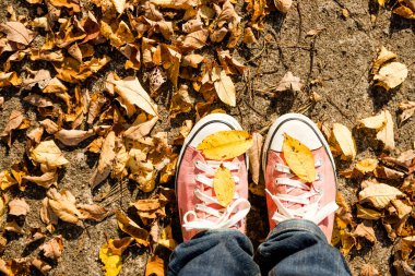Tekstil kumaşından botları olan genç bacaklar yere düşmüş yapraklarla, tepeden bakıyorlar. Mevsim değişimi konsepti. Sonbahar moda tarzı. Mavi kot. Güneşli bir günde pembe hippi ayakkabısı.