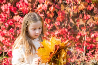 Güzellik parkında sonbahar yaprakları olan sevimli bir çocuk. Sonbahar parkında bej kazaklı, sarı yapraklı sarışın bir kız..