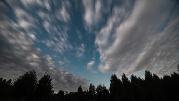 Αστρική Νύχτα. Καθαρός ουρανός, συννεφιασμένος ουρανός. Γραμμή δέντρου σιλουέτας νύχτας — Αρχείο Βίντεο