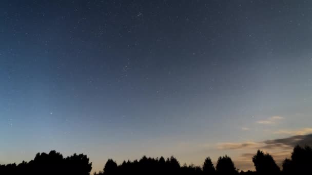 星空の時間経過。クリアスカイ、曇りの空。ナイトシルエットツリーライン — ストック動画