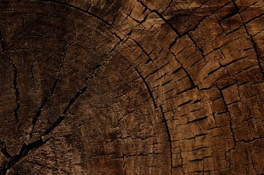 Kesilmiş ağaç ahşap doku
