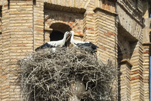 Villafranca de Ebro (Aragonien, Spanien) — Stockfoto