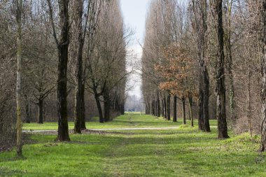 Milano (İtalya): Parco Nord, kış