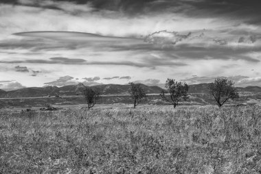 Aragon (İspanya): yaz manzara