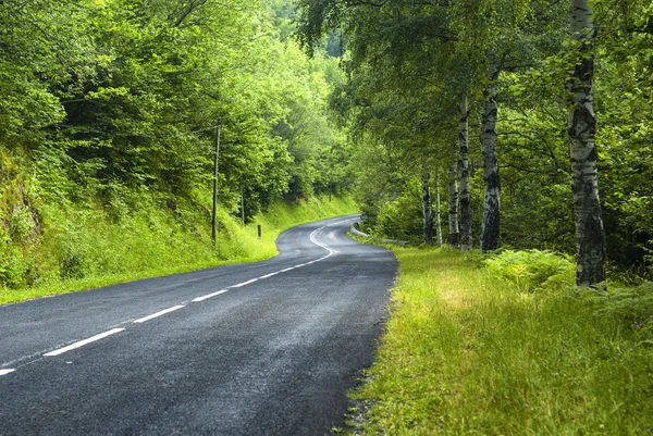 Road of Pirineos (Catalunya, Espanja) ) — kuvapankkivalokuva