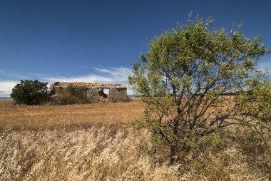 Aragon (İspanya): yaz manzara