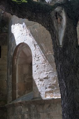 Sant Joan de les Abadesses (İspanya)