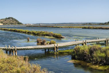 Peyriac-de-Mer (Languedoc-Roussillon, Fransa): gölet