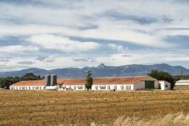 Aragon (İspanya): yaz manzara