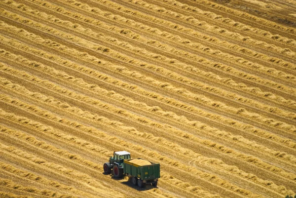 Paesaggio rurale da Cervera (Catalogna ) — Foto Stock